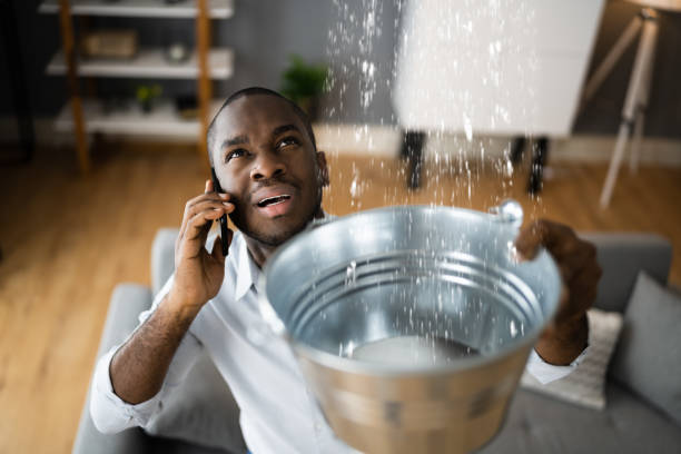 Best Water damage restoration specialists  in Oberlin, OH