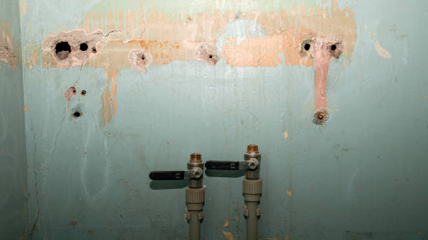 Best Residential water damage restoration  in Oberlin, OH